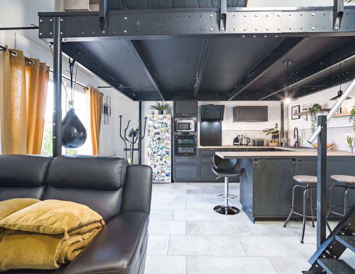 Loft Avec Jardin Et Parking Prive Apartment Troyes Exterior foto